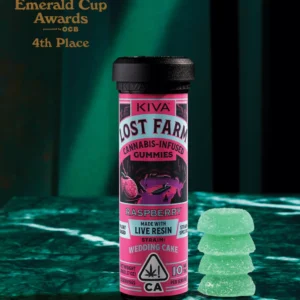 Chili Mango Ghost Lime Pop Gummies 10mg infused with live resin