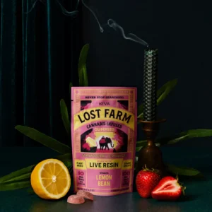 Strawberry Lemonade Lemon Bean Gummies 10mg infused with live resin