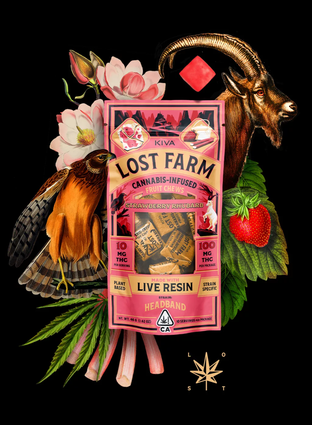 Strawberry Rhubarb Headband Chews – 10mg THC Hybrid Live Resin Gummies Strawberry Rhubarb Headband Chews 10mg